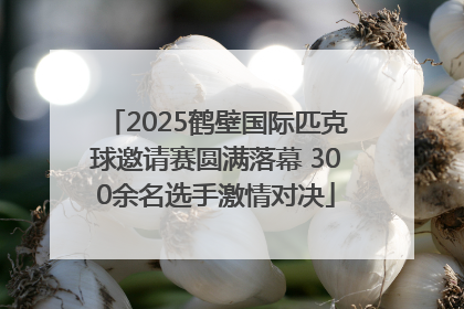 2025鹤壁国际匹克球邀请赛圆满落幕 300余名选手激情对决