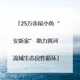 25万余尾小鱼“安新家” 助力黄河流域生态良性循环