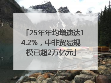 25年年均增速达14.2%，中非贸易规模已超2万亿元