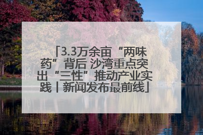 3.3万余亩“两味药”背后 沙湾重点突出“三性”推动产业实践丨新闻发布最前线