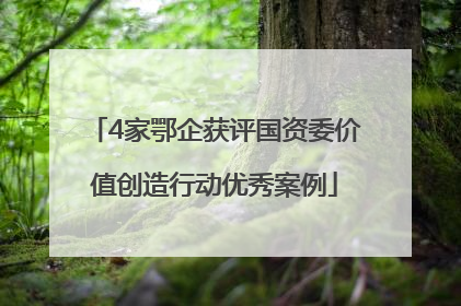 4家鄂企获评国资委价值创造行动优秀案例