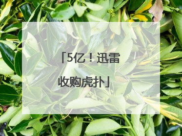 5亿！迅雷收购虎扑