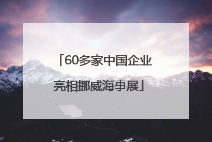 60多家中国企业亮相挪威海事展