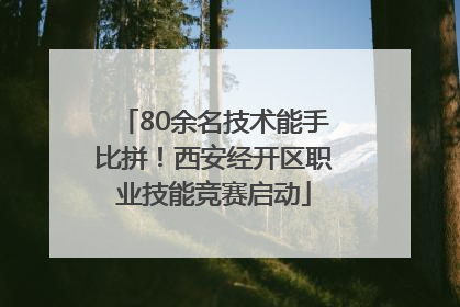 80余名技术能手比拼！西安经开区职业技能竞赛启动