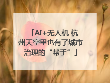 AI+无人机 杭州天空里也有了城市治理的“帮手”