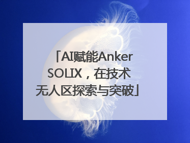 AI赋能Anker SOLIX，在技术无人区探索与突破