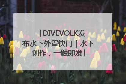 DIVEVOLK发布水下外置快门｜水下创作，一触即发
