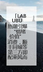 LABUBU 热潮引爆 “情绪价值” 消费，顺丰同城等第三方即配乘风而起
