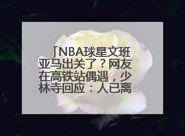 NBA球星文班亚马出关了？网友在高铁站偶遇，少林寺回应：人已离开寺院