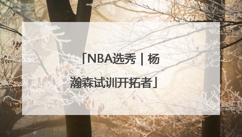 NBA选秀｜杨瀚森试训开拓者