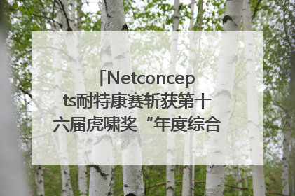 Netconcepts耐特康赛斩获第十六届虎啸奖“年度综合服务商”大奖