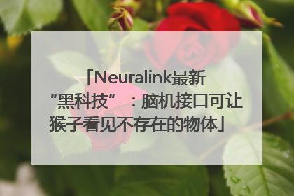 Neuralink最新“黑科技”：脑机接口可让猴子看见不存在的物体