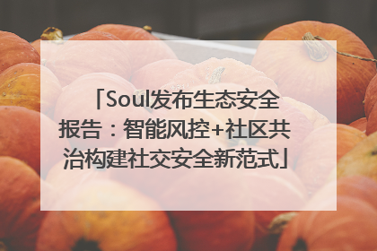 Soul发布生态安全报告：智能风控+社区共治构建社交安全新范式